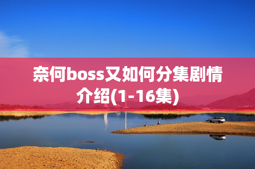 奈何boss又如何分集剧情介绍(1-16集)