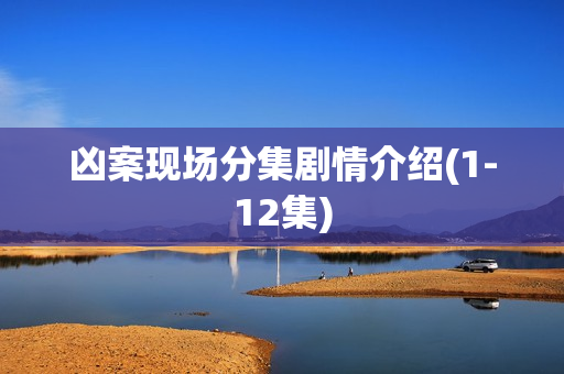 凶案现场分集剧情介绍(1-12集)