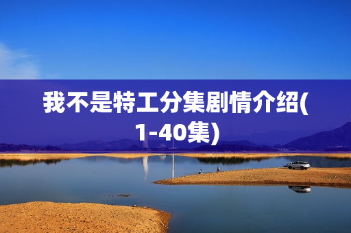 我不是特工分集剧情介绍(1-40集)