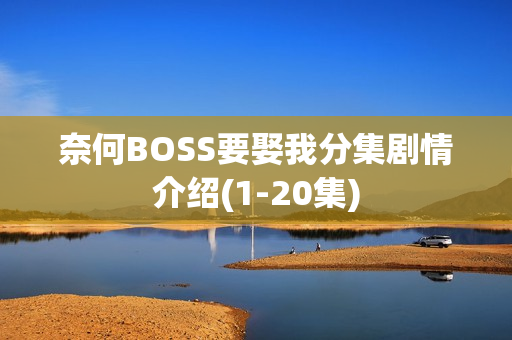奈何BOSS要娶我分集剧情介绍(1-20集)
