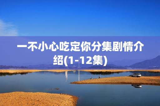 一不小心吃定你分集剧情介绍(1-12集)