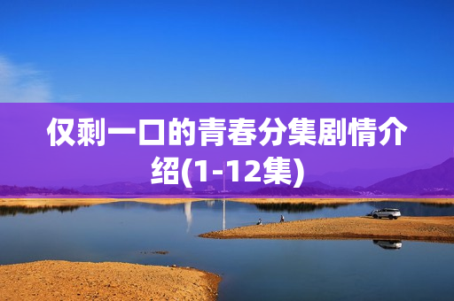 仅剩一口的青春分集剧情介绍(1-12集)