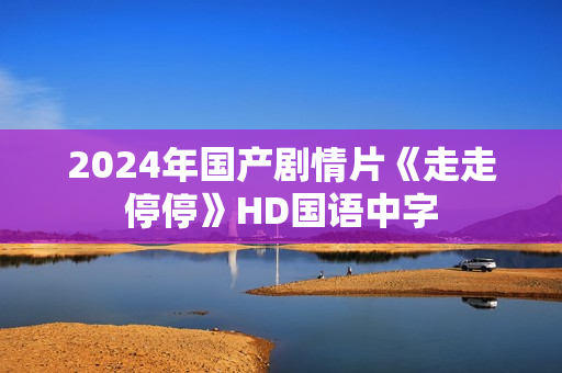 2024年国产剧情片《走走停停》HD国语中字