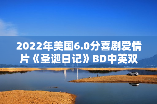2022年美国6.0分喜剧爱情片《圣诞日记》BD中英双字