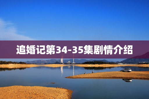 追婚记第34-35集剧情介绍