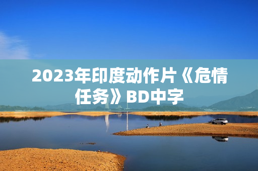 2023年印度动作片《危情任务》BD中字