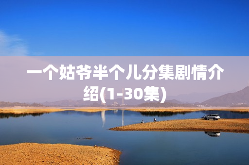 一个姑爷半个儿分集剧情介绍(1-30集)