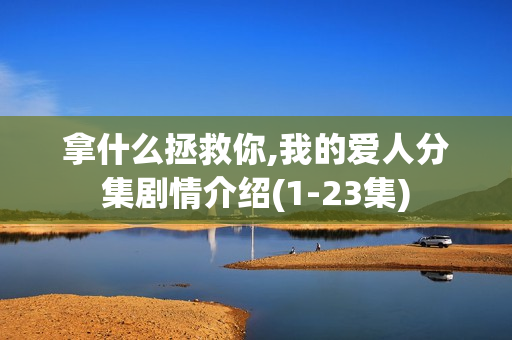 拿什么拯救你,我的爱人分集剧情介绍(1-23集)