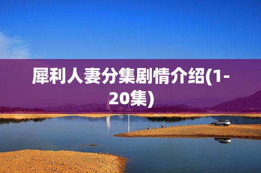 犀利人妻分集剧情介绍(1-20集)