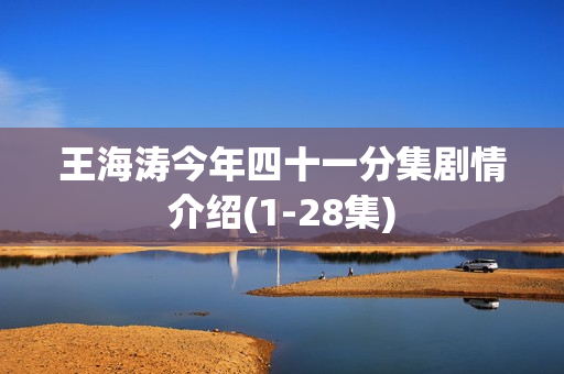 王海涛今年四十一分集剧情介绍(1-28集)