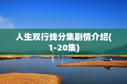 人生双行线分集剧情介绍(1-20集)