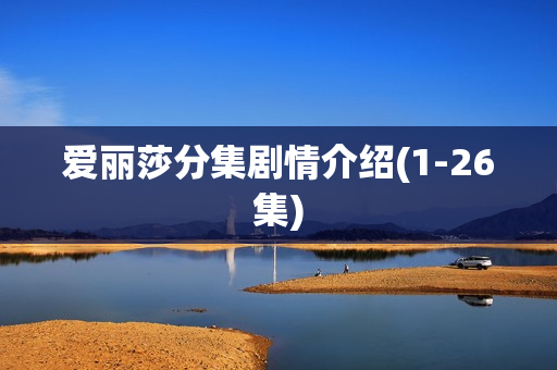 爱丽莎分集剧情介绍(1-26集)