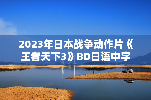 2023年日本战争动作片《王者天下3》BD日语中字