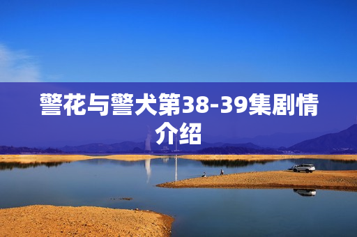 警花与警犬第38-39集剧情介绍