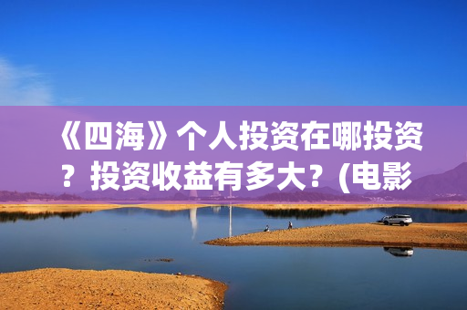 《四海》个人投资在哪投资？投资收益有多大？(电影《四海》)