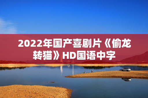 2022年国产喜剧片《偷龙转猫》HD国语中字