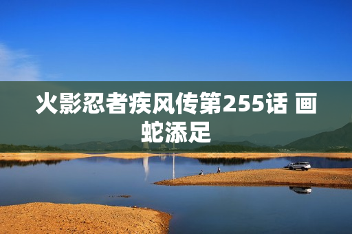 火影忍者疾风传第255话 画蛇添足