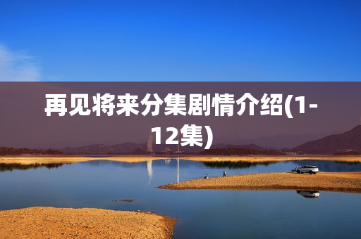 再见将来分集剧情介绍(1-12集)