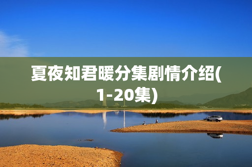 夏夜知君暖分集剧情介绍(1-20集)