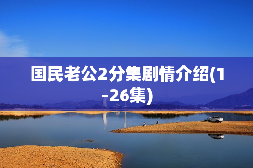 国民老公2分集剧情介绍(1-26集)