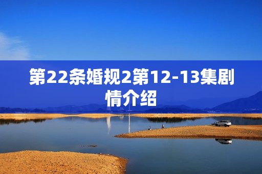 第22条婚规2第12-13集剧情介绍