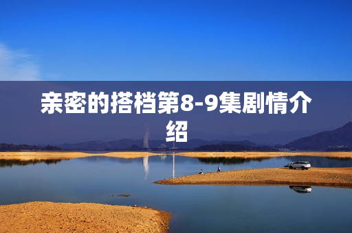 亲密的搭档第8-9集剧情介绍