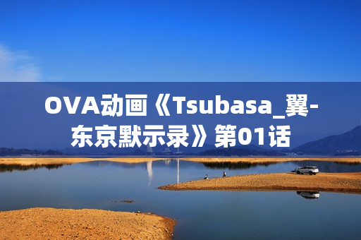 OVA动画《Tsubasa_翼-东京默示录》第01话