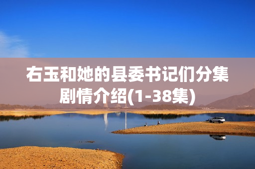 右玉和她的县委书记们分集剧情介绍(1-38集)