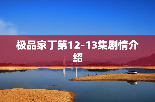 极品家丁第12-13集剧情介绍