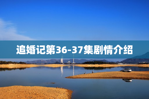 追婚记第36-37集剧情介绍