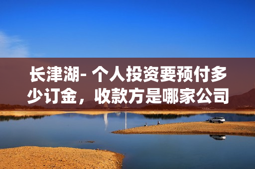 长津湖- 个人投资要预付多少订金，收款方是哪家公司？(长津湖详情)