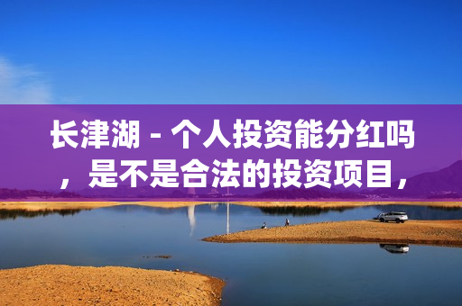 长津湖 - 个人投资能分红吗，是不是合法的投资项目，是不是骗局？(长津湖官方)