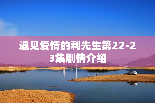 遇见爱情的利先生第22-23集剧情介绍