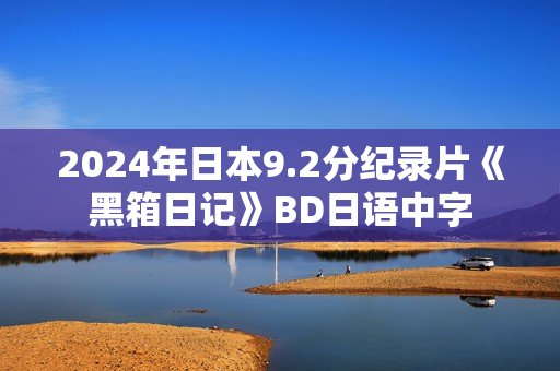 2024年日本9.2分纪录片《黑箱日记》BD日语中字