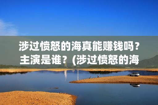 涉过愤怒的海真能赚钱吗？主演是谁？(涉过愤怒的海 海报)