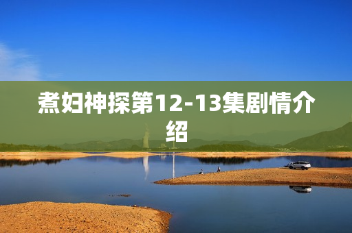 煮妇神探第12-13集剧情介绍