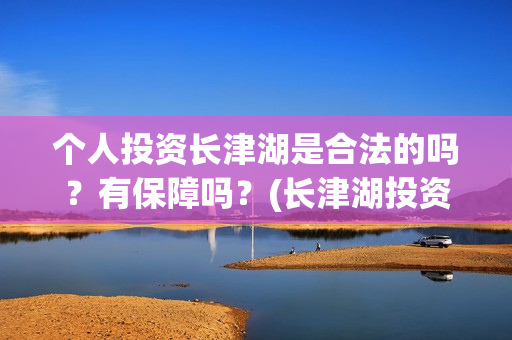 个人投资长津湖是合法的吗？有保障吗？(长津湖投资成本多少)