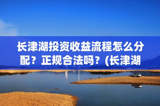 长津湖投资收益流程怎么分配？正规合法吗？(长津湖投资回报)
