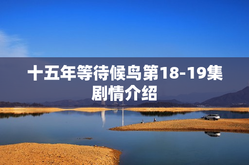 十五年等待候鸟第18-19集剧情介绍