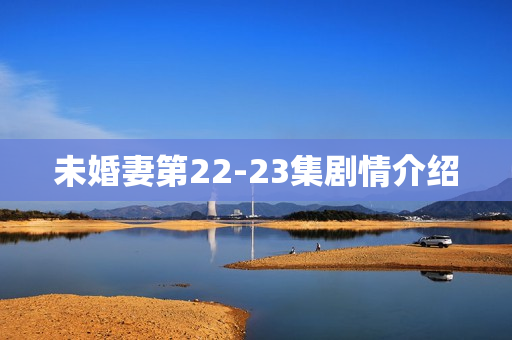 未婚妻第22-23集剧情介绍