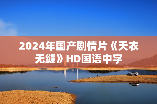2024年国产剧情片《天衣无缝》HD国语中字