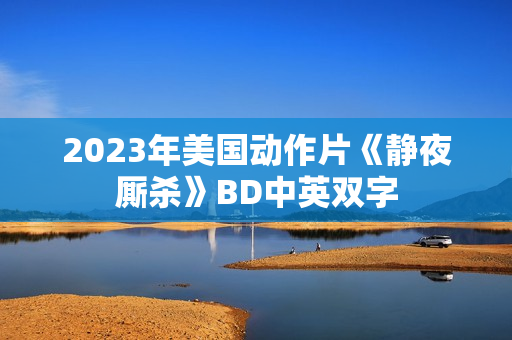 2023年美国动作片《静夜厮杀》BD中英双字