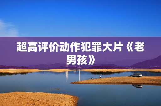超高评价动作犯罪大片《老男孩》