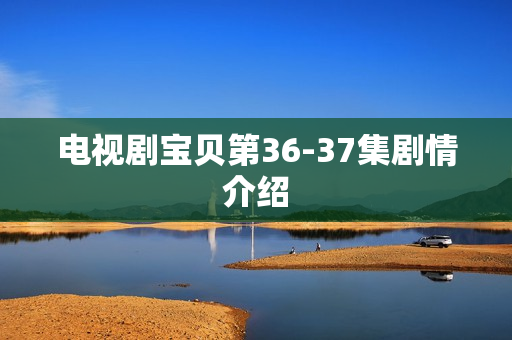 电视剧宝贝第36-37集剧情介绍