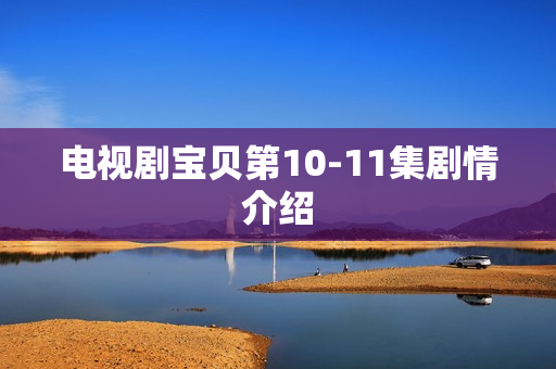 电视剧宝贝第10-11集剧情介绍