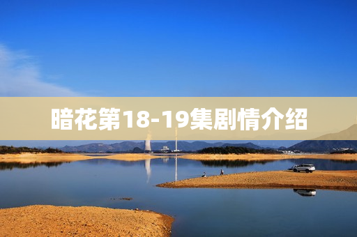 暗花第18-19集剧情介绍