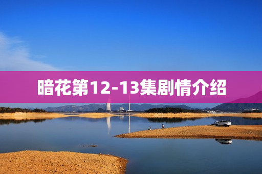 暗花第12-13集剧情介绍