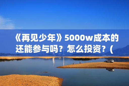 《再见少年》5000w成本的还能参与吗？怎么投资？(再见,少年作文550字)
