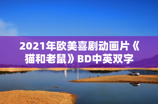 2021年欧美喜剧动画片《猫和老鼠》BD中英双字