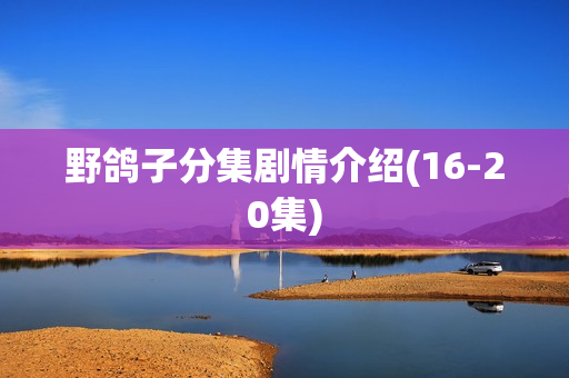 野鸽子分集剧情介绍(16-20集)
